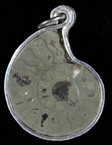Pyrite Replaced Ammonite Fossil Pendant #58409